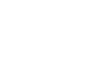 Rebels