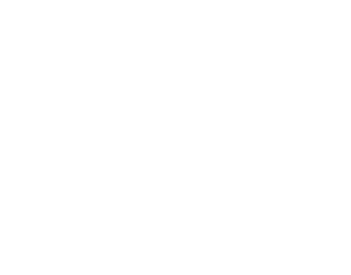 Synerjet